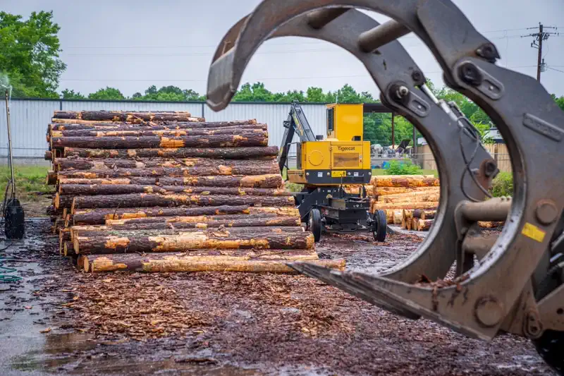 Timber sourcing at a logging yard