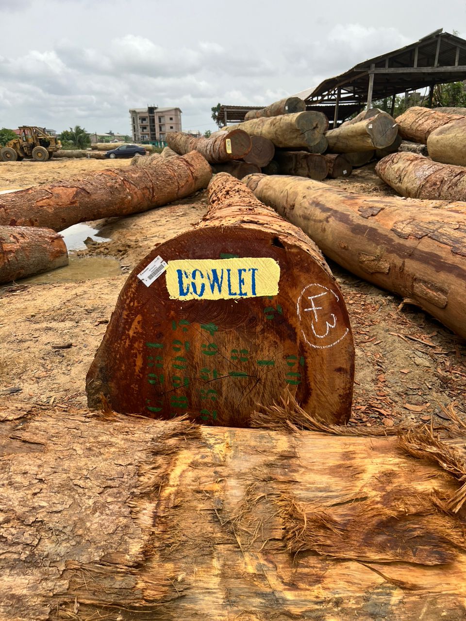 Round Log 17