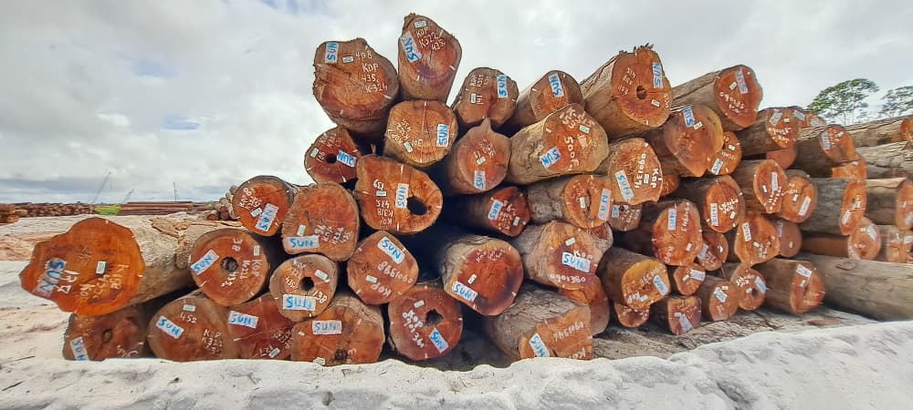 Round Log 36