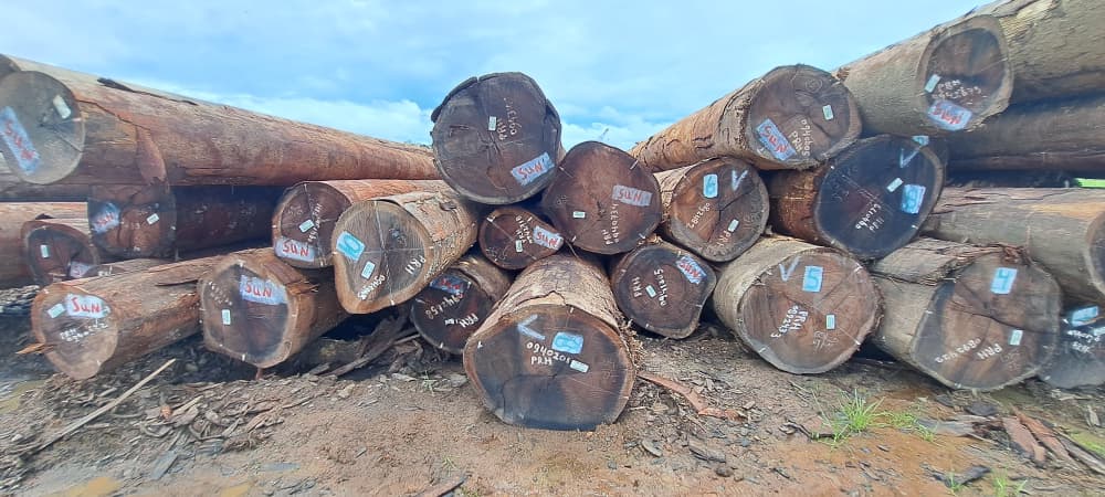 Round Log 39
