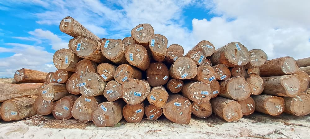 Round Log 40