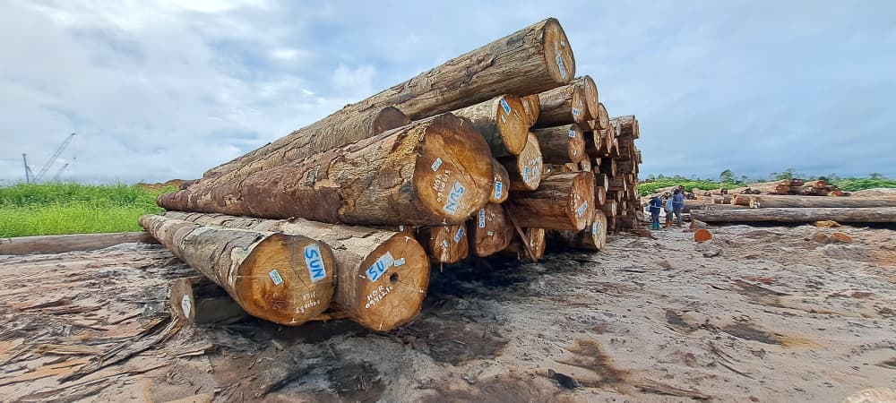 Round Log 41