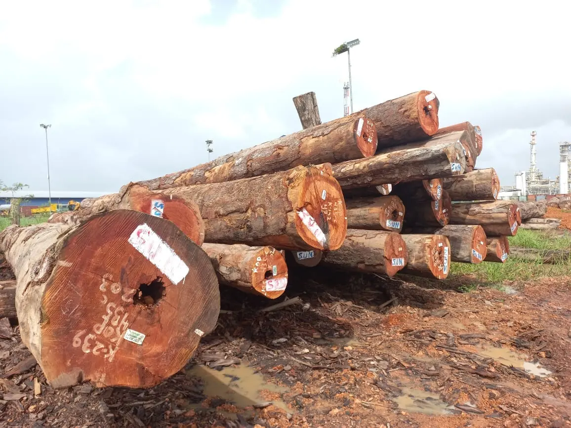 Large stack of round timber logs at a forestry sourcing yard
